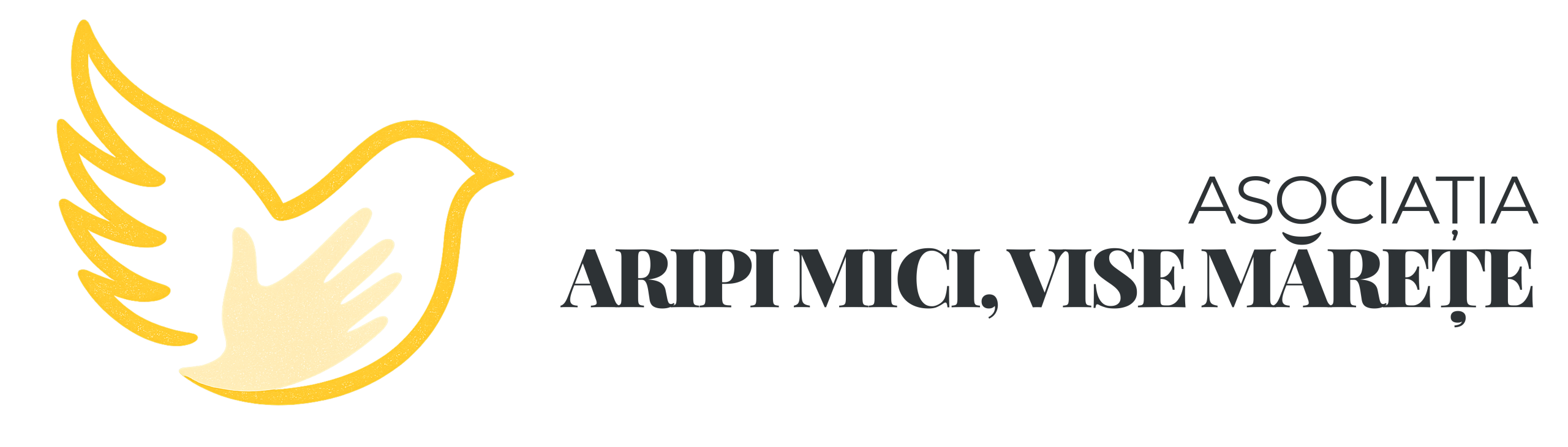 Asociația Aripi Mici Vise Mărețe